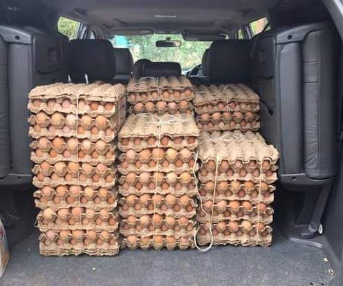 Contacts Touche à Tout Agro Services